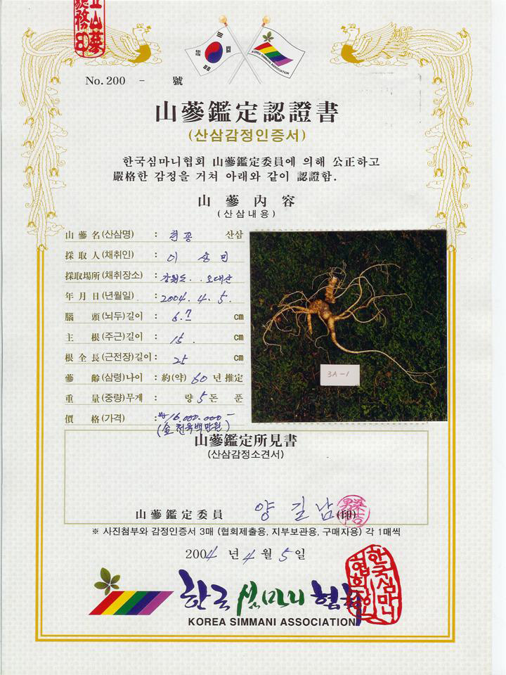 산삼감정서 2